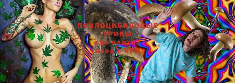 Псилоцибиновые грибы Psilocybine cubensis Тосно